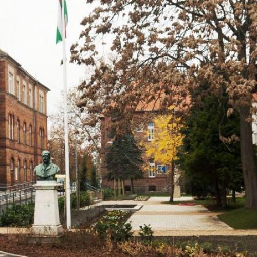 Csongrád Megyei Egészségügyi Ellátó Központ Hódmezővásárhely-Makó képe